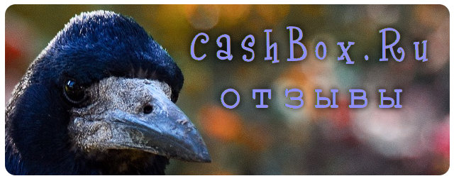 Ворона говорит про отзывы о Cashbox