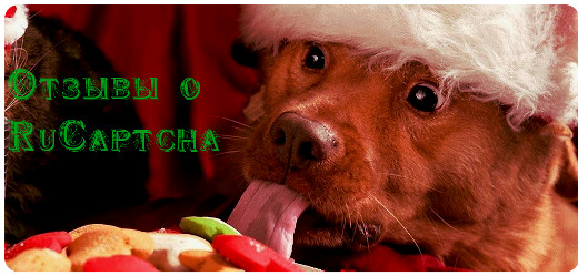 Отзывы о Rucaptcha от новогодней собаки